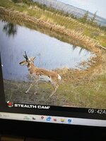 IMG_6604.jpeg
