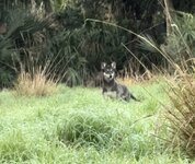 IMG_6606.jpeg