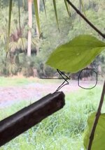 IMG_6607.jpeg