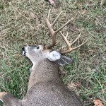 IMG_6852.jpeg