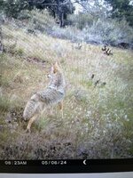 IMG_6605.jpeg