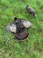 IMG_5742.jpg IMG_5742.jpg