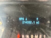 IMG_4398.jpeg