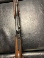 IMG_3988.jpeg