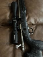 IMG_9820.jpeg