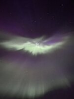 IMG_2155.jpeg