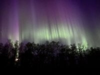 IMG_2153.jpeg