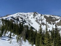IMG_2959.jpeg