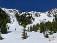 IMG_2950.jpeg