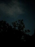 IMG_3566.jpeg