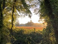 IMG_2568.jpeg