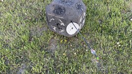 IMG_3367.jpeg