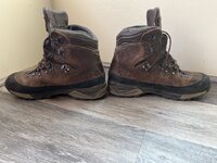 IMG_7297.jpeg