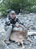 toa aoudad 12apr2024.jpg