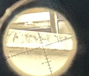 IMG_4954.jpeg