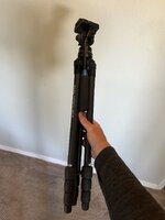 IMG_4613.jpeg