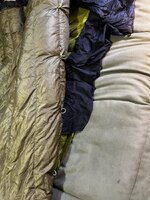 IMG_1675.jpg