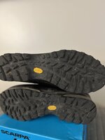 IMG_4378.jpeg