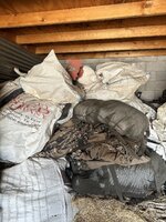 IMG_0173.jpeg