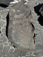 IMG_0176.jpeg