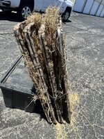 IMG_0179.jpeg