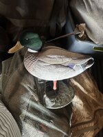 IMG_0180.jpeg