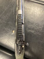 IMG_3950.jpeg