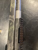 IMG_3953.jpeg