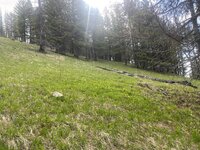 IMG_2965.jpeg