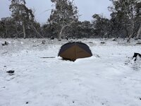 IMG_9038.JPG