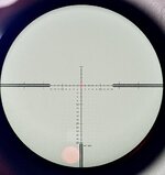 IMG_8796.jpeg