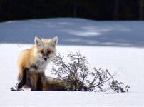 IMG_1400.jpeg