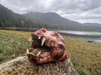 IMG_1908.jpeg