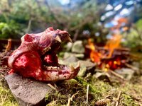 IMG_7239.jpeg