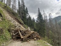 IMG_6492.jpeg