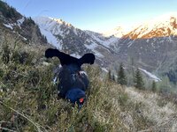 IMG_6461.jpeg
