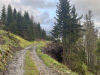 IMG_6454.jpeg