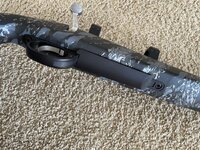 IMG_1040.jpeg