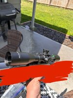 IMG_5031.jpeg