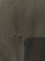 IMG_2323.jpeg
