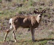 IMG_0681.jpeg