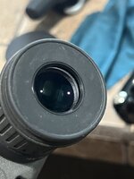 IMG_8311.jpeg