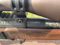 IMG_5316.jpeg