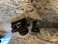 IMG_7143.jpeg