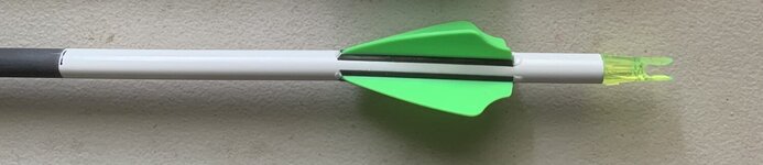 arrow crest.JPG