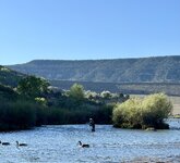 IMG_1111.jpeg