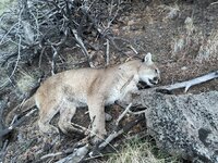 IMG_5019.jpeg