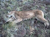 IMG_5021.jpeg