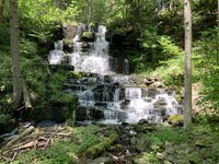 IMG_0330.jpeg