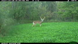 IMG_0133.jpeg